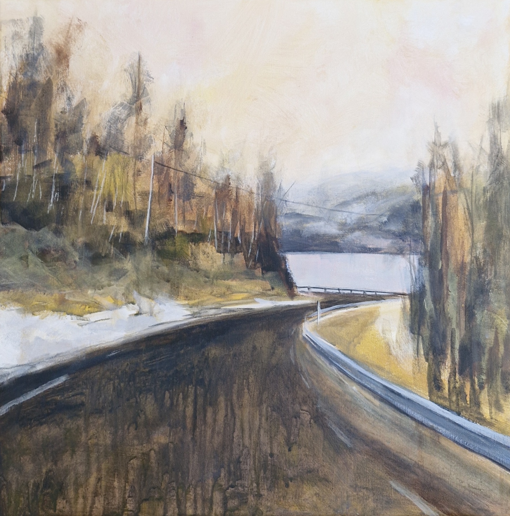 50 x 50 cm