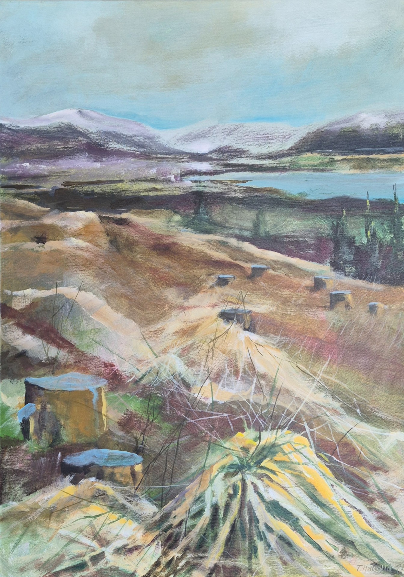 Flathogst 50 x 70 cm